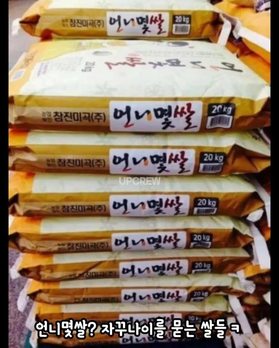 요즘 마트 쌀 이름 근황 | 인스티즈
