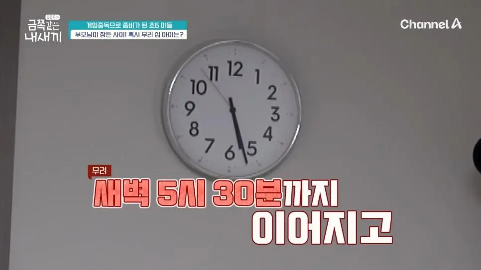 하루 12시간 게임 금쪽이 | 인스티즈