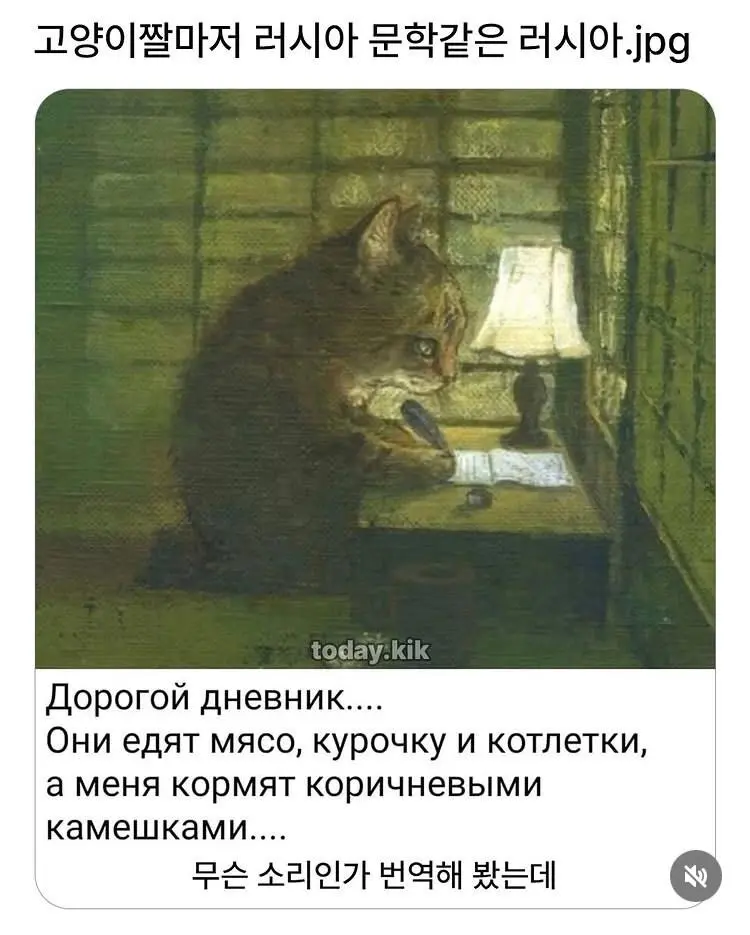 러시아 문학스러운 고양이 | 인스티즈