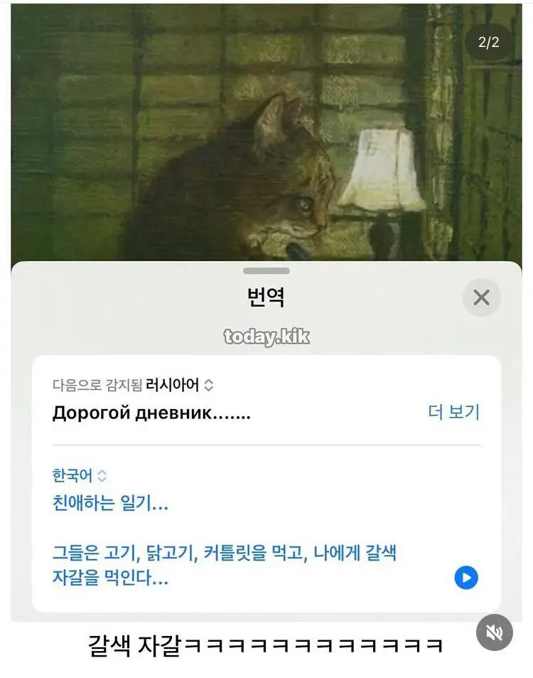 러시아 문학스러운 고양이 | 인스티즈