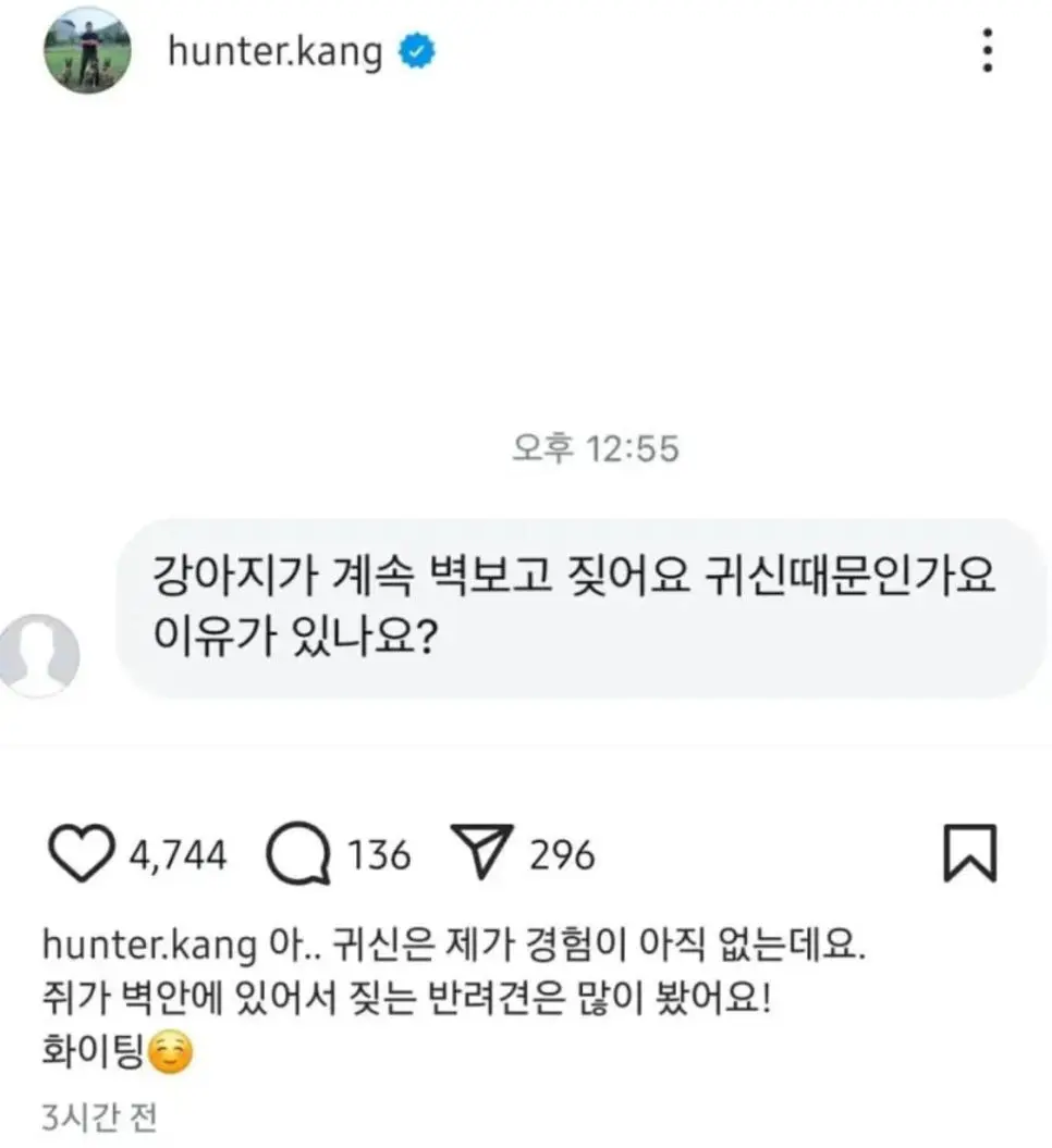 강아지가 벽을 보고 짖는 이유 | 인스티즈