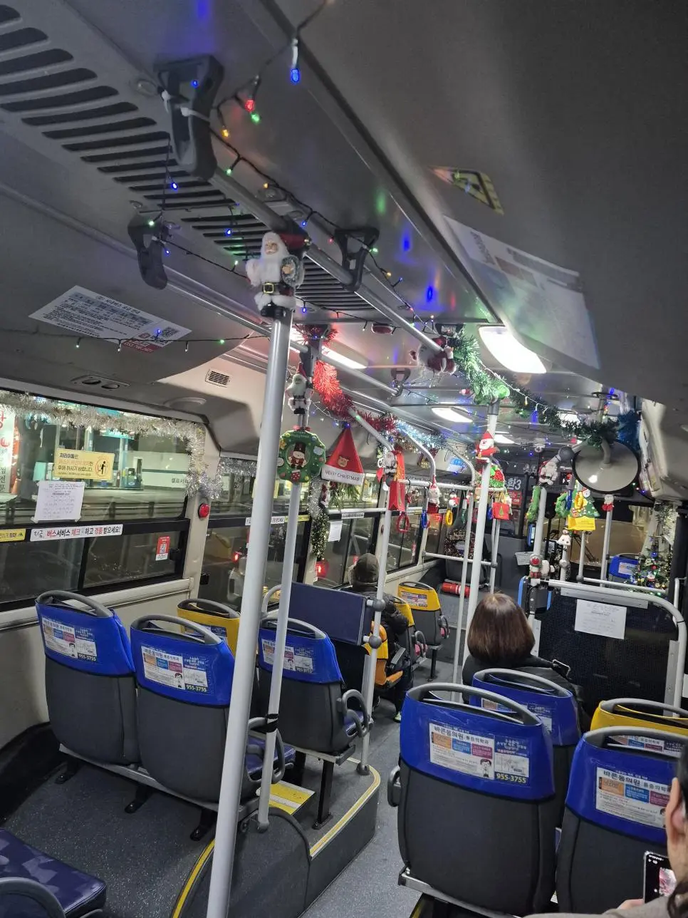 대구 시내버스 근황.jpg | mbong.kr 엠봉