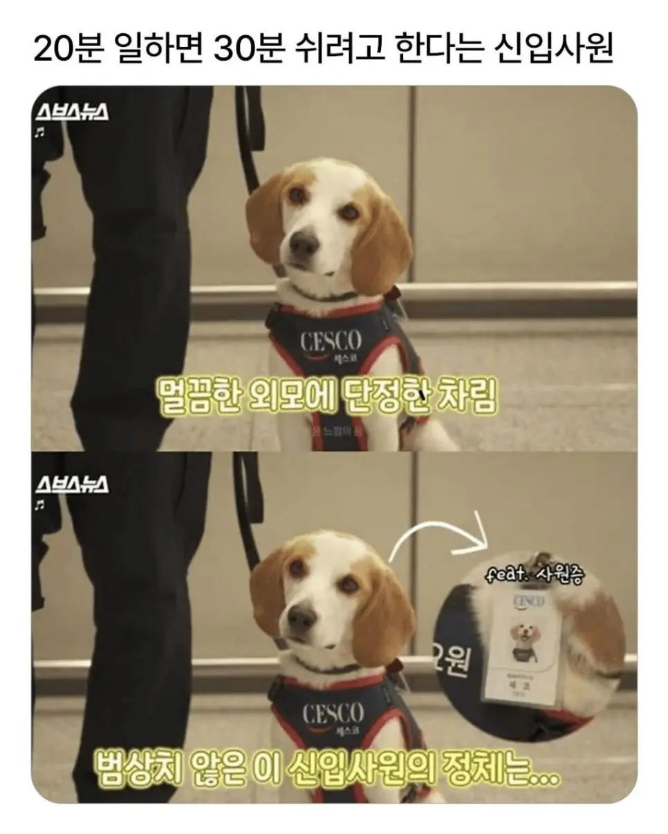 20분 일하고 30분은 쉬려고 한다는 신입사원 | 인스티즈