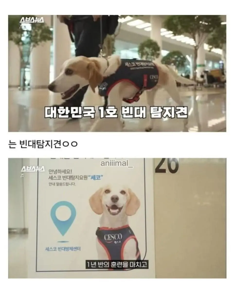 20분 일하고 30분은 쉬려고 한다는 신입사원 | 인스티즈