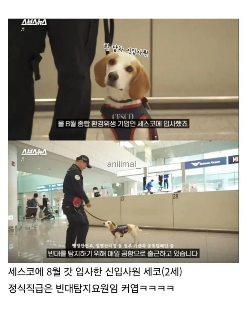 20분 일하고 30분은 쉬려고 한다는 신입사원 | 인스티즈