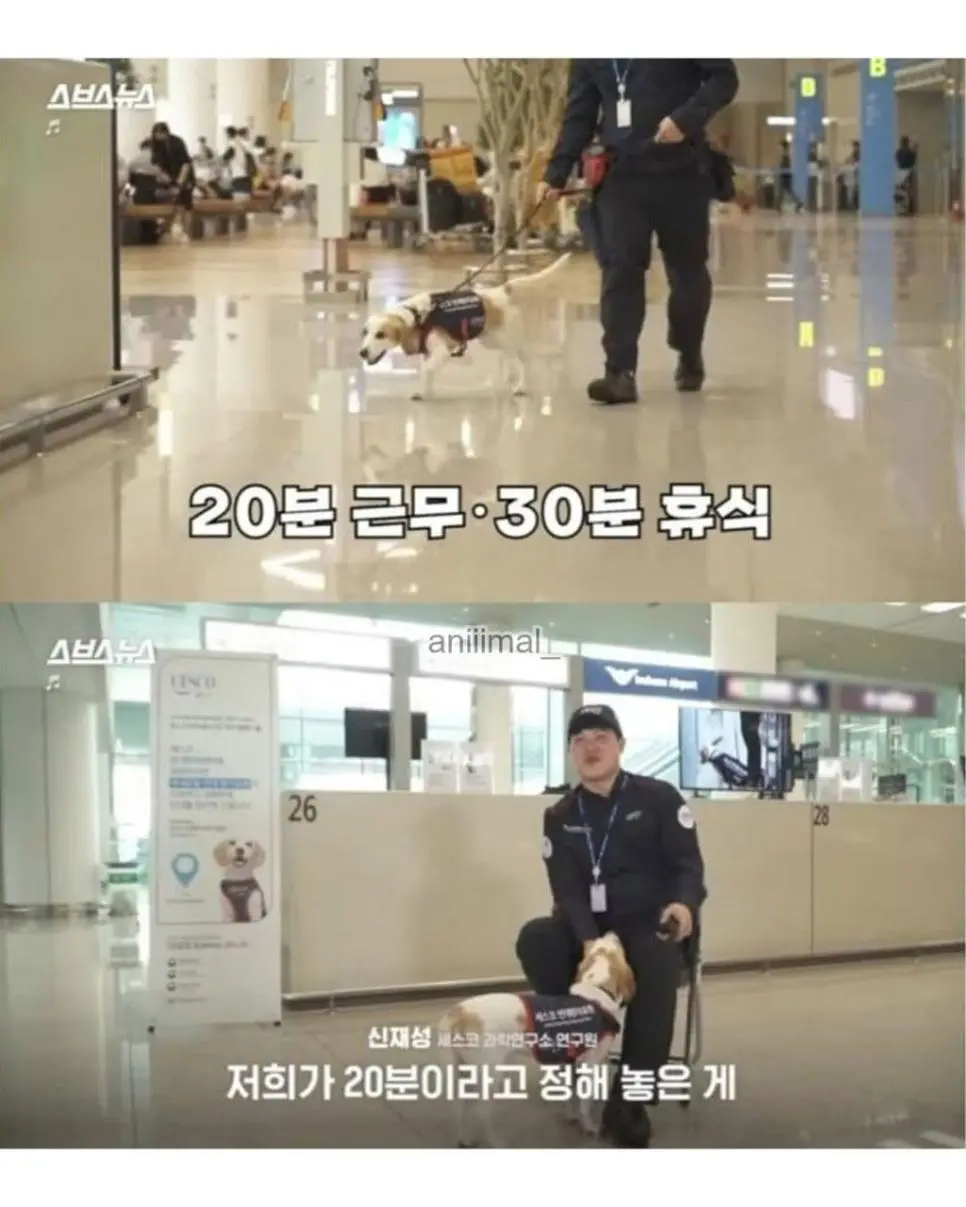 20분 일하고 30분은 쉬려고 한다는 신입사원 | 인스티즈