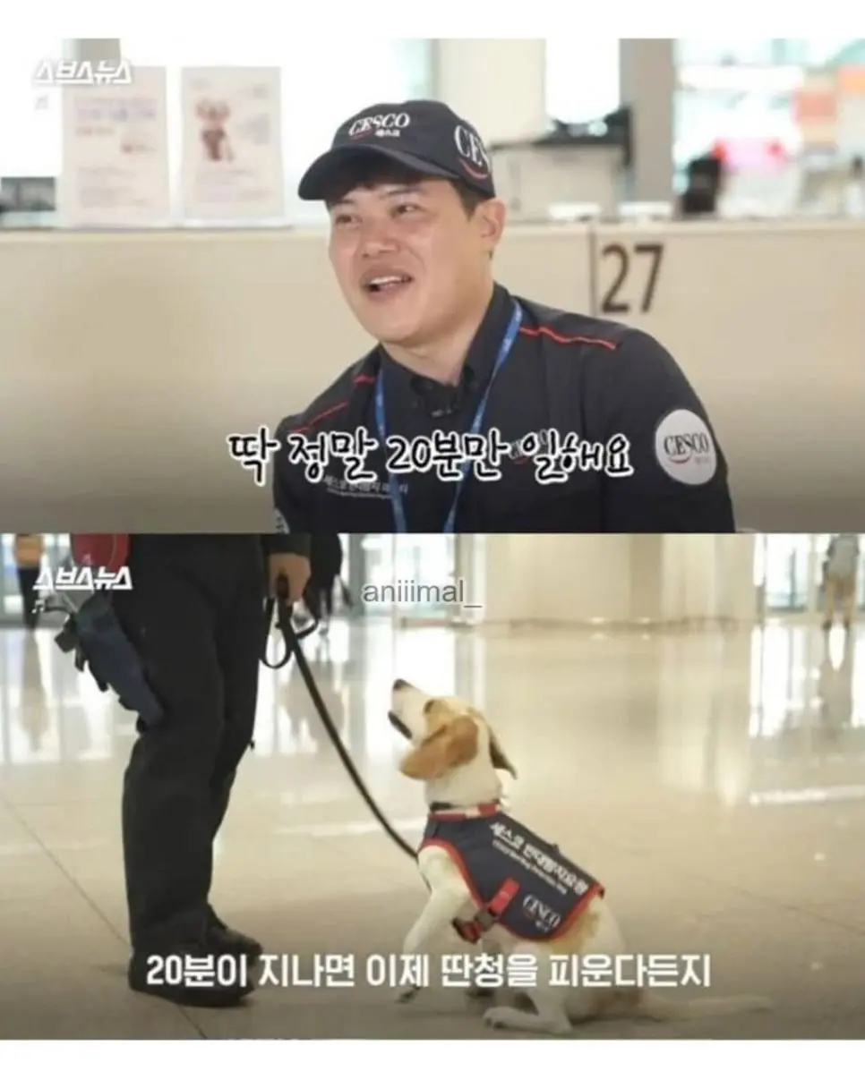 20분 일하고 30분은 쉬려고 한다는 신입사원 | 인스티즈