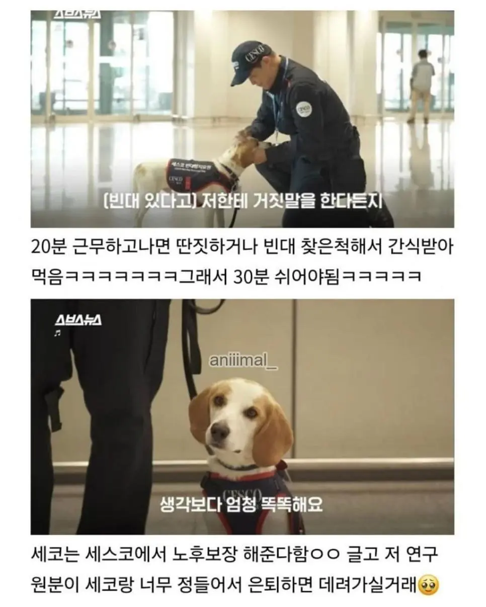 20분 일하고 30분은 쉬려고 한다는 신입사원 | 인스티즈