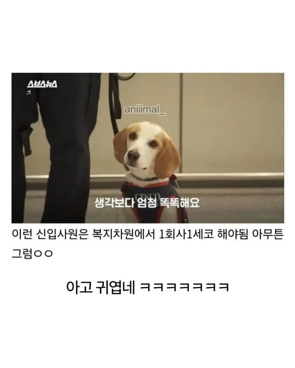 20분 일하고 30분은 쉬려고 한다는 신입사원 | 인스티즈