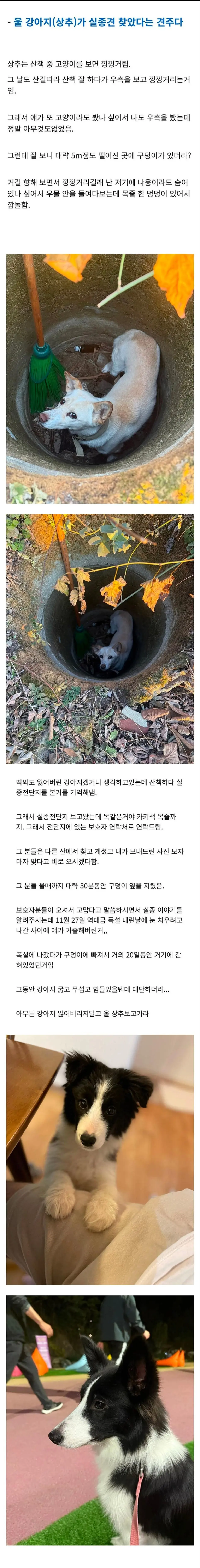 우리 강아지가 실종견을 찾았다.jpg | 인스티즈