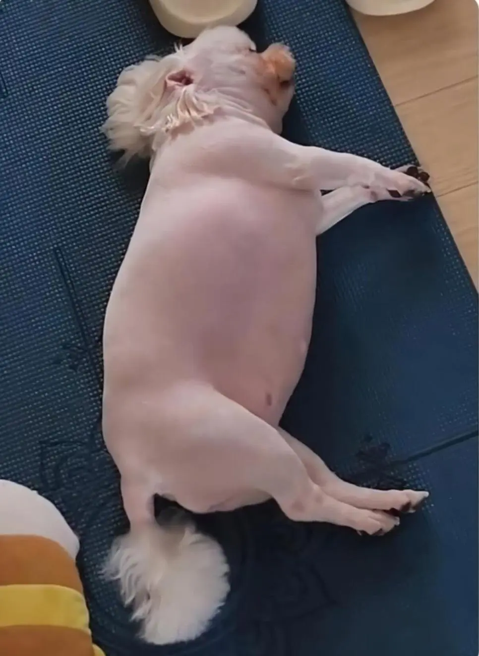 K9hIJ.webp