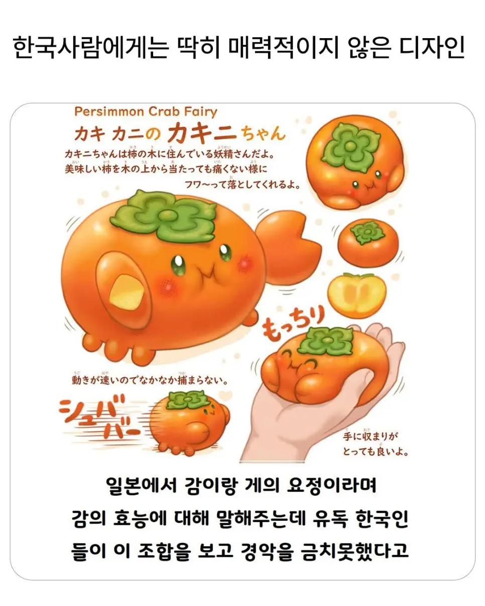 한국사람에게는 매력적이지 않은 디자인.jpg | 인스티즈