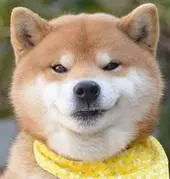 [평범하게 입고 온 사람이 술값 내기로 함.mp4_006]