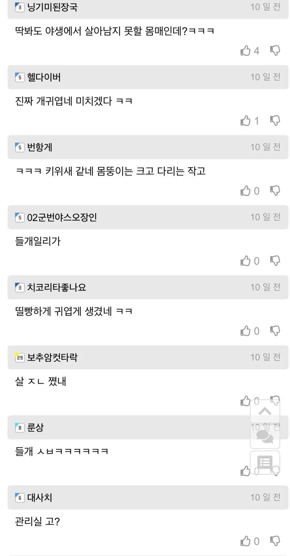 길 잃은 뚠뚠 치와와 주인 찾아줌 | mbong.kr 엠봉