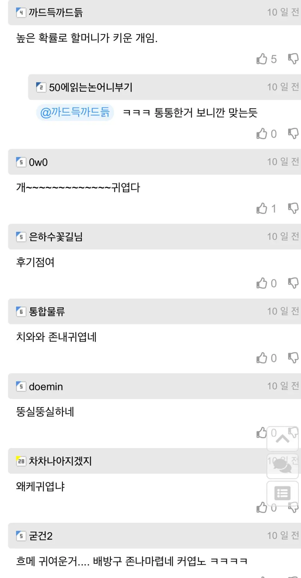 길 잃은 뚠뚠 치와와 주인 찾아줌 | mbong.kr 엠봉