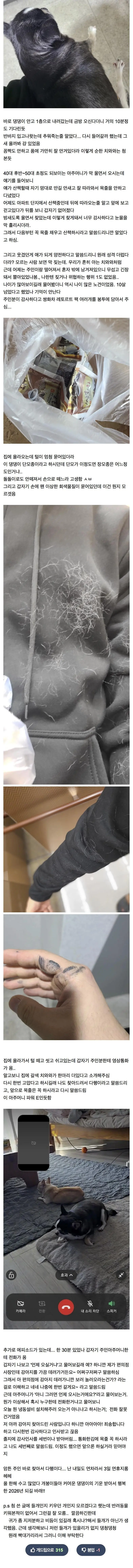 길 잃은 뚠뚠 치와와 주인 찾아줌 | mbong.kr 엠봉