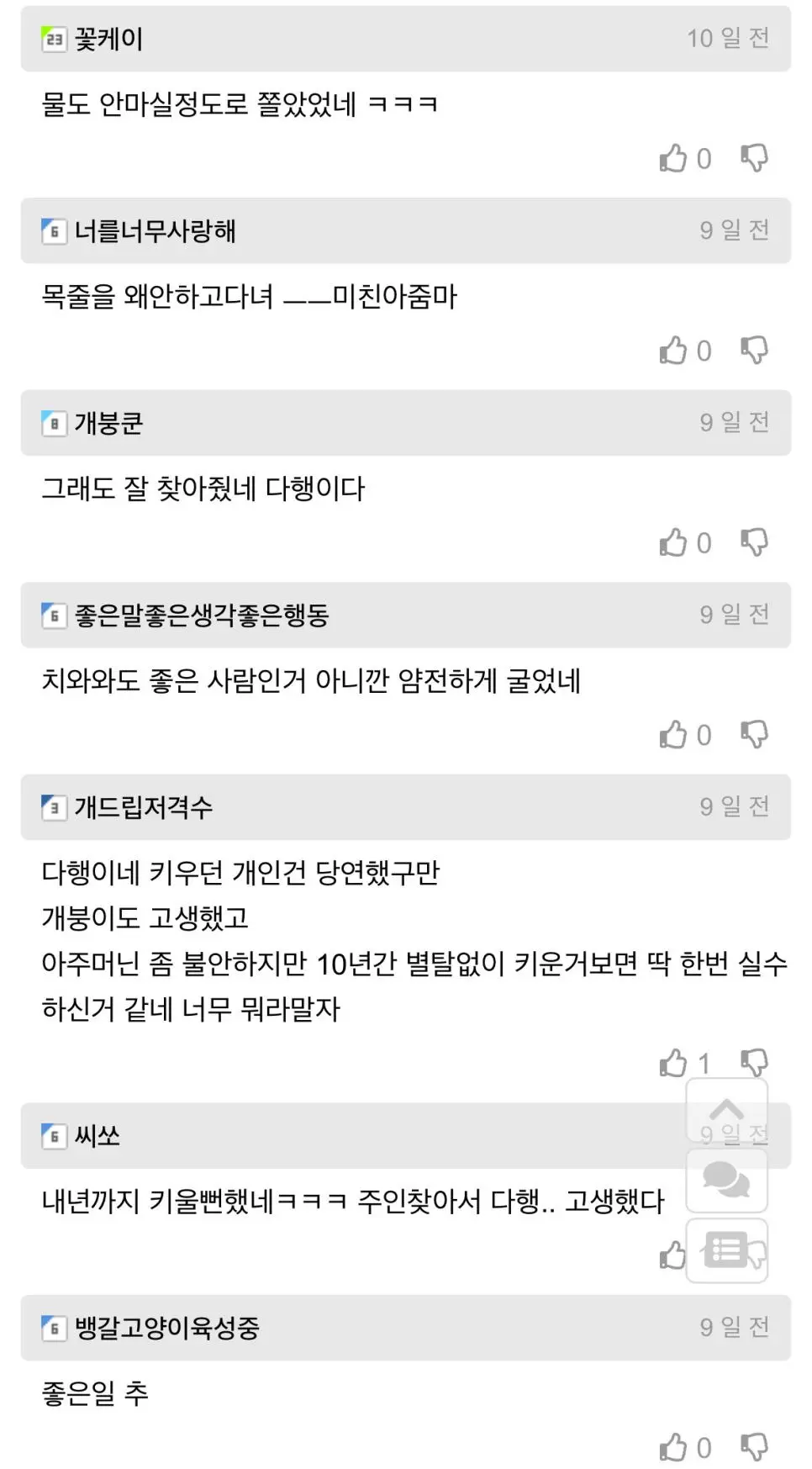 길 잃은 뚠뚠 치와와 주인 찾아줌 | mbong.kr 엠봉