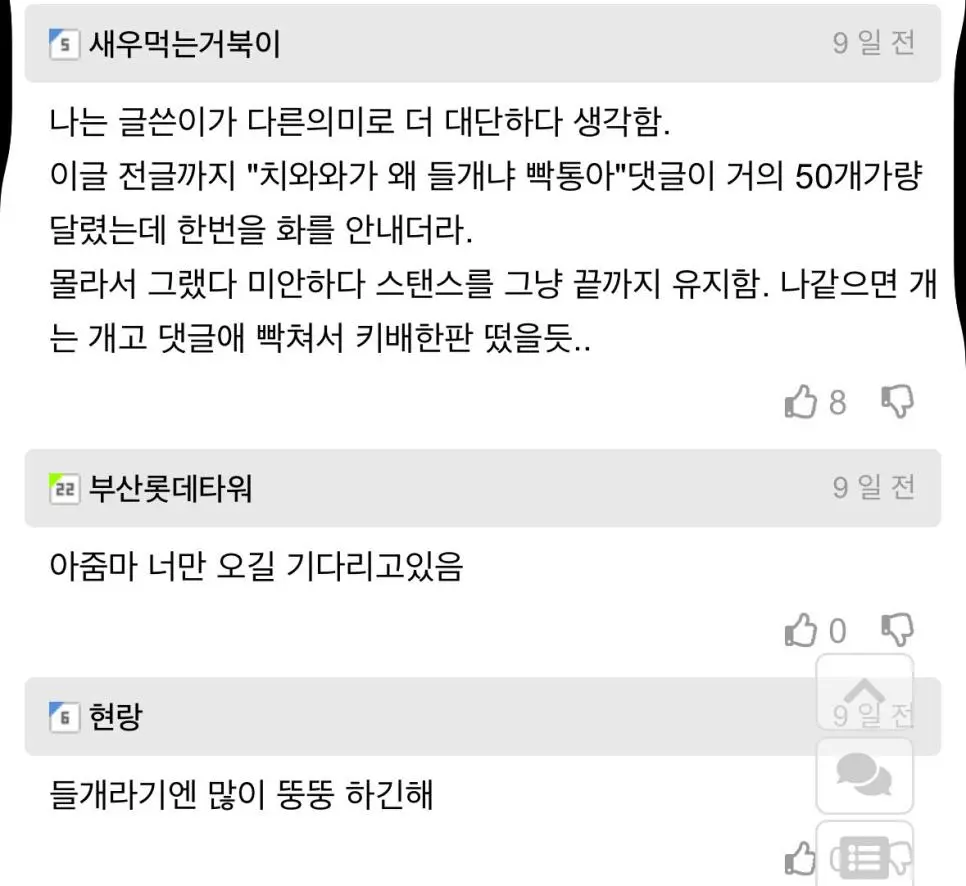 길 잃은 뚠뚠 치와와 주인 찾아줌 | mbong.kr 엠봉