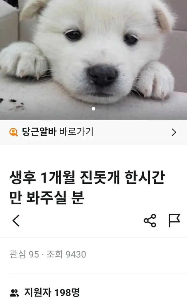 198명이 지원한 당근마켓 알바 | mbong.kr 엠봉