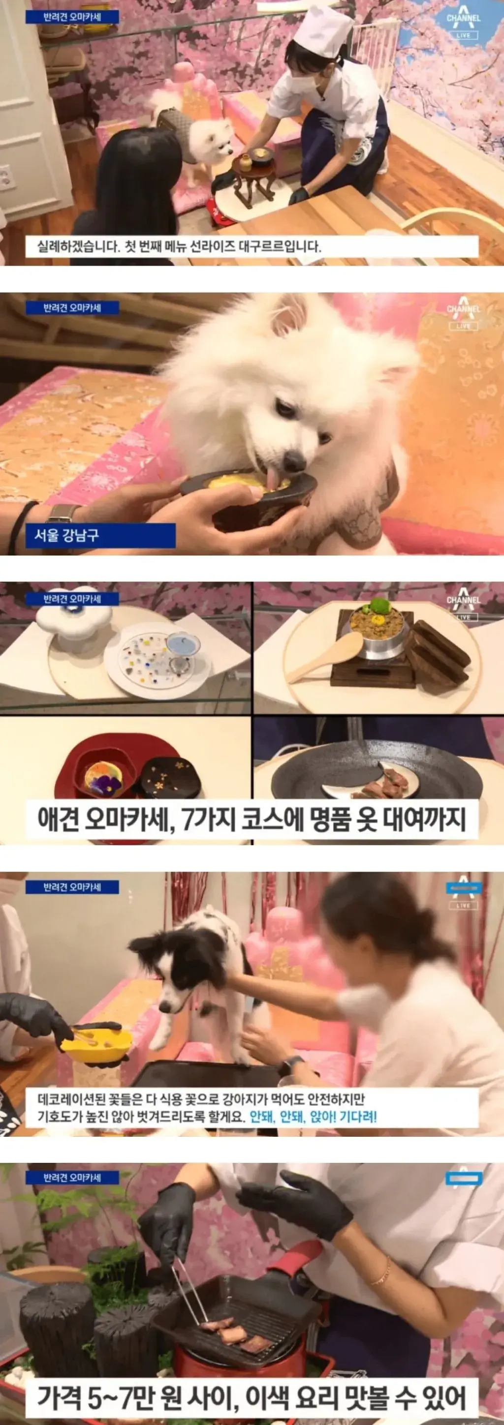 개미카세.jpg | mbong.kr 엠봉