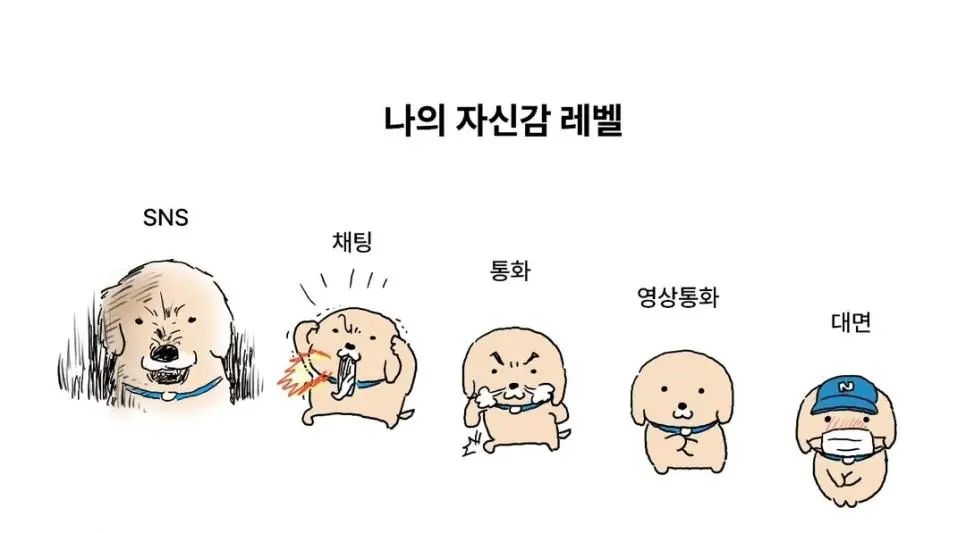 나의 자신감 레벨.jpg | mbong.kr 엠봉