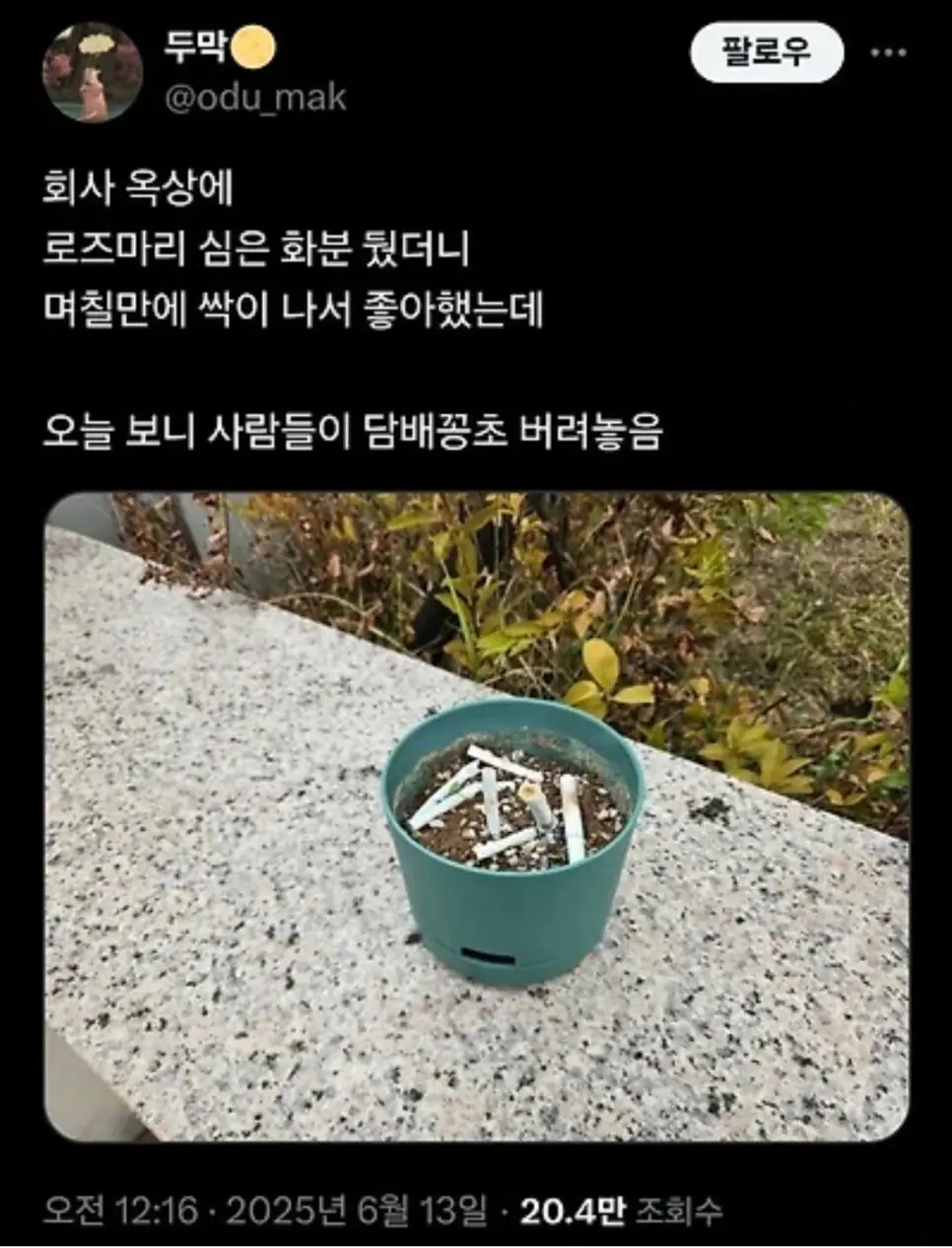 회사 옥상에 화분 뒀더니 생긴 일 | mbong.kr 엠봉