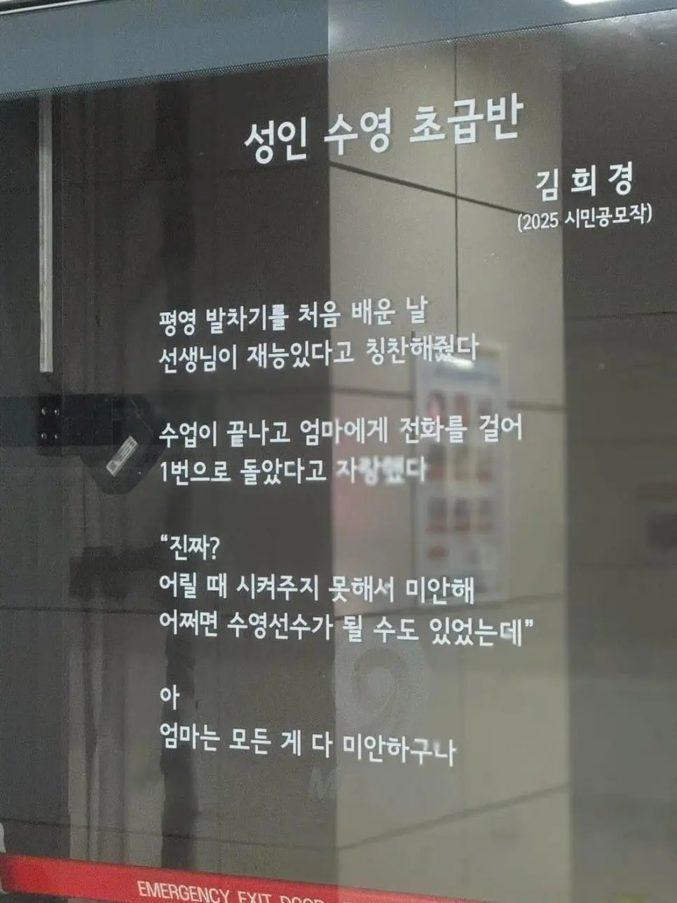 성인 수영 초급반 | mbong.kr 엠봉