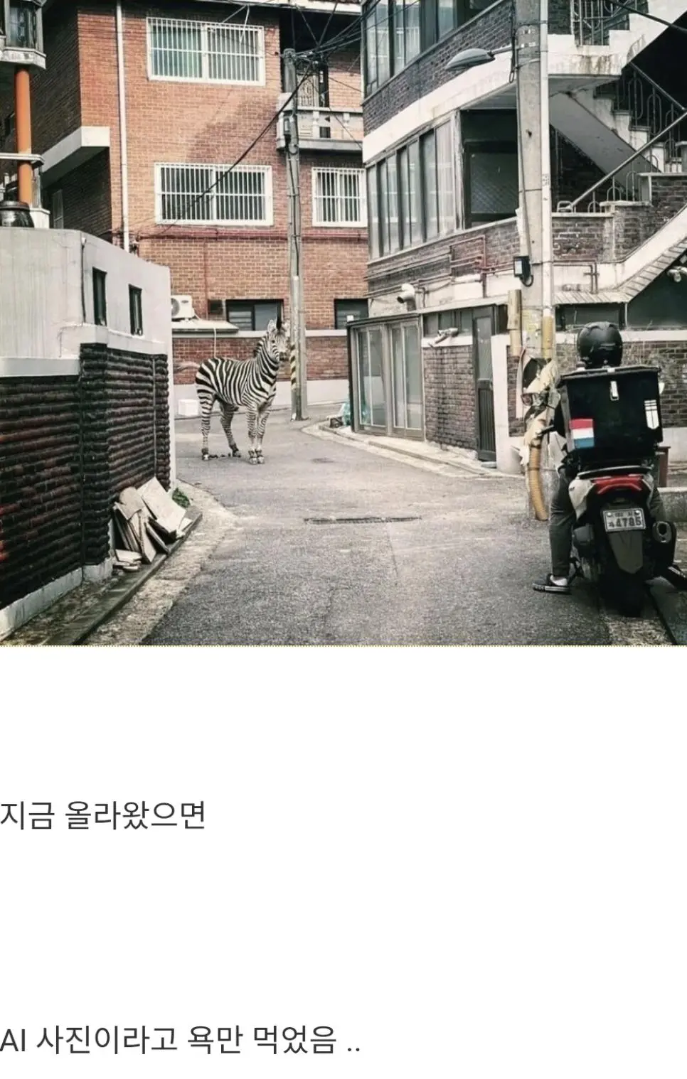 AI 시대 이전에 찍혀서 다행인 사진 | mbong.kr 엠봉