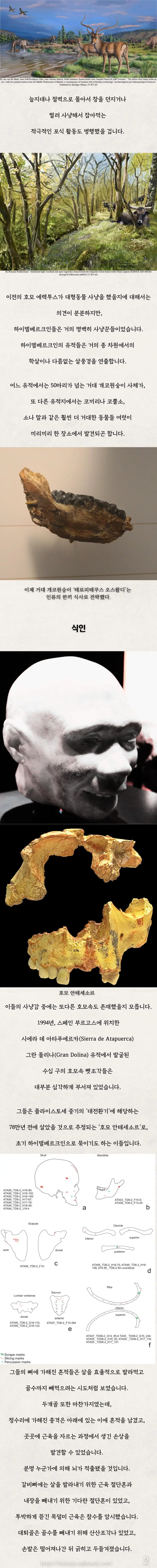 조상님들은 사람을 먹었을까? | mbong.kr 엠봉