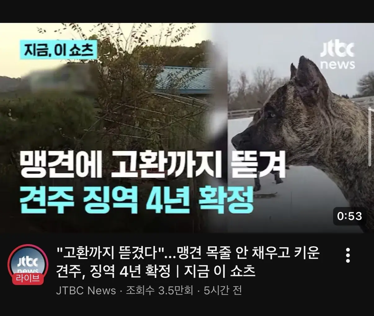 견주 관리부실로 맹견에게 고환 뜯긴 피해자 ㄷㄷ…. | mbong.kr 엠봉