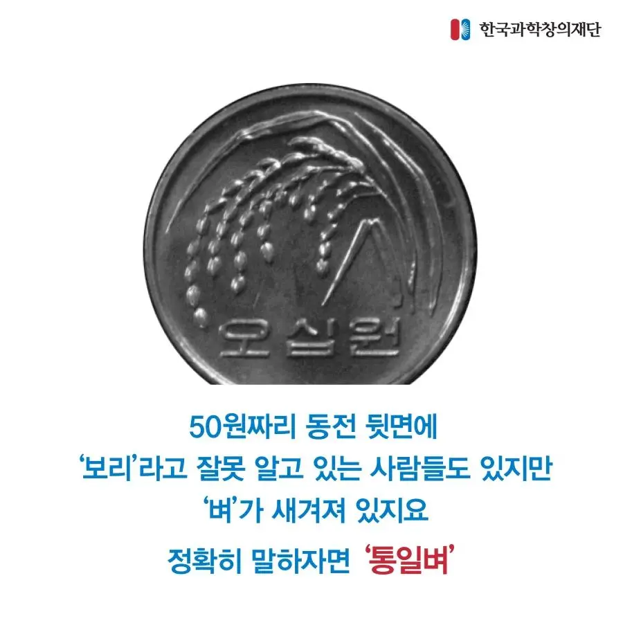 50원 동전에 통일벼가 있는 이유 | mbong.kr 엠봉