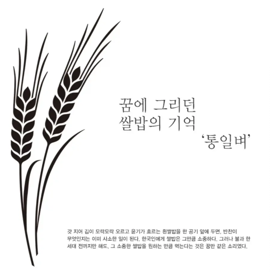 50원 동전에 통일벼가 있는 이유 | mbong.kr 엠봉