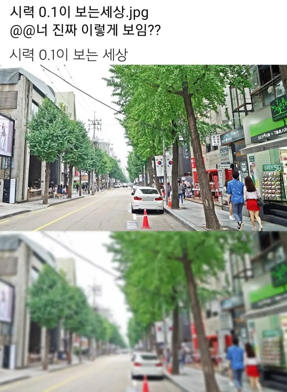 시력 0.1이 보는세상. | mbong.kr 엠봉