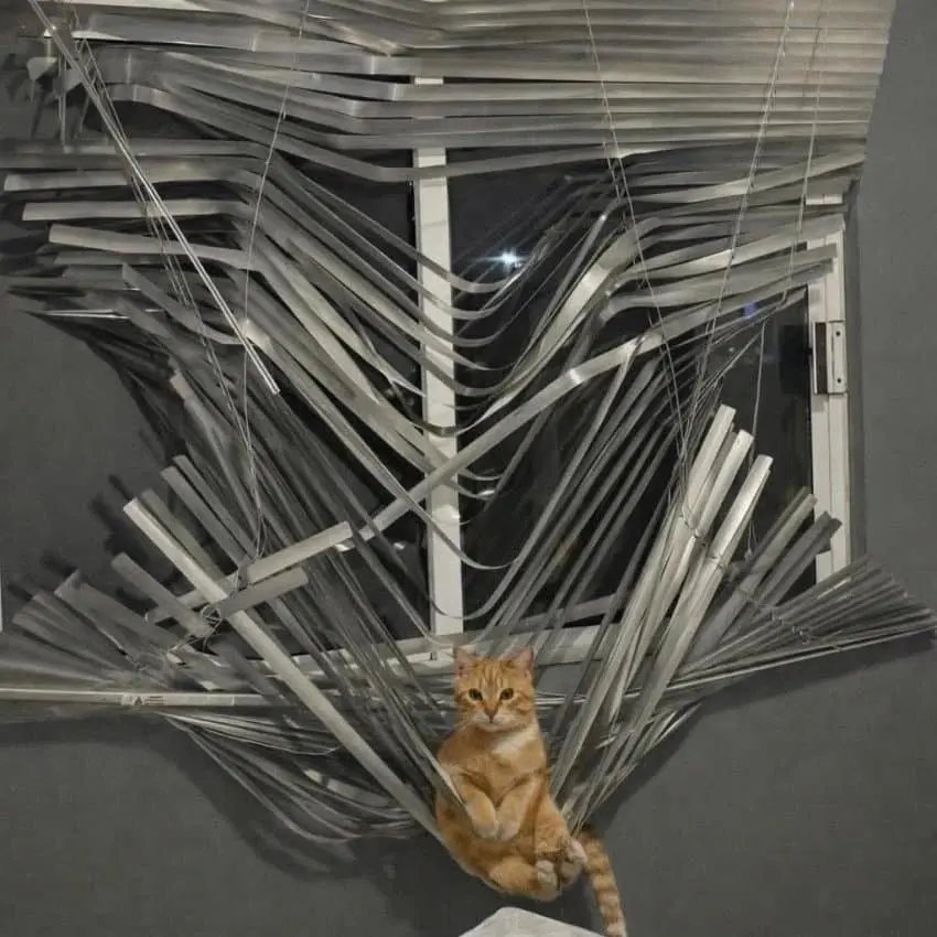 대참사 일으키고 뻔뻔하기 짝이 없음 | mbong.kr 엠봉