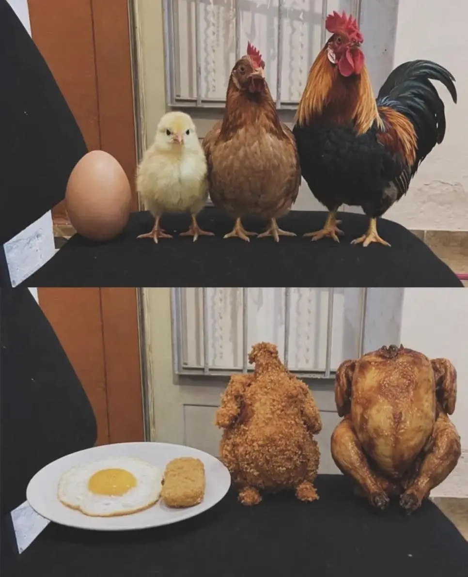 잔인한 가족사진 | mbong.kr 엠봉