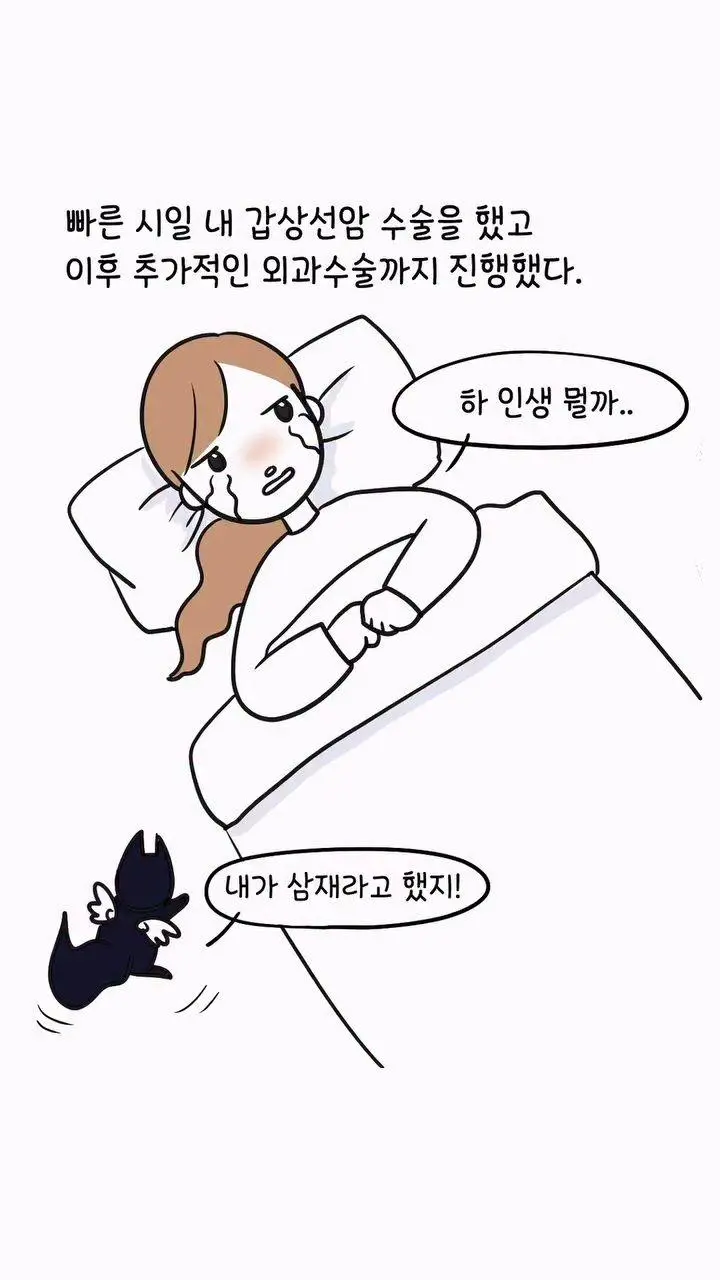 거만했던 딩크부부의 최후.jpg | mbong.kr 엠봉