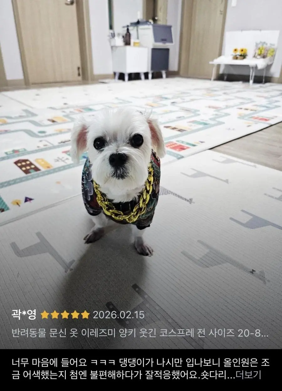 이레즈미 강아지옷 후기.jpg | mbong.kr 엠봉