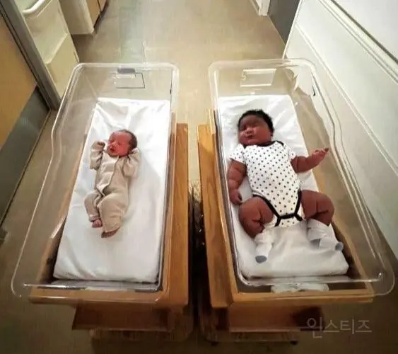 '6㎏ 신생아' 탄생했다…압도적 우량아 모습 화제 | mbong.kr 엠봉