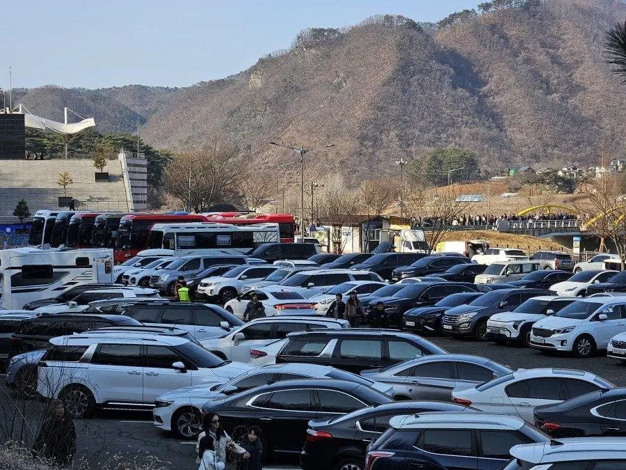 실시간 청령포 주차장 상황 | mbong.kr 엠봉