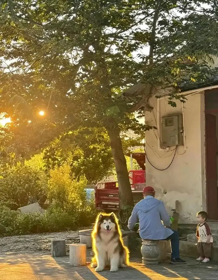 자연이 만든 윤곽선 | mbong.kr 엠봉