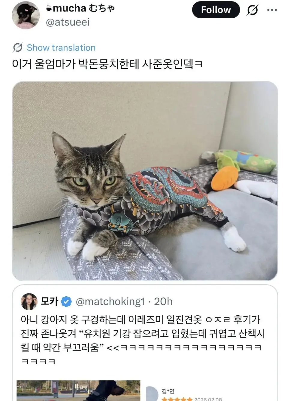 이레즈미 강아지옷 후기.jpg | mbong.kr 엠봉