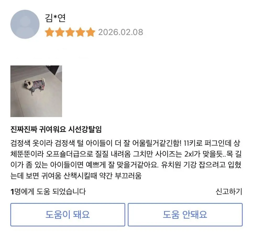 이레즈미 강아지옷 후기.jpg | mbong.kr 엠봉