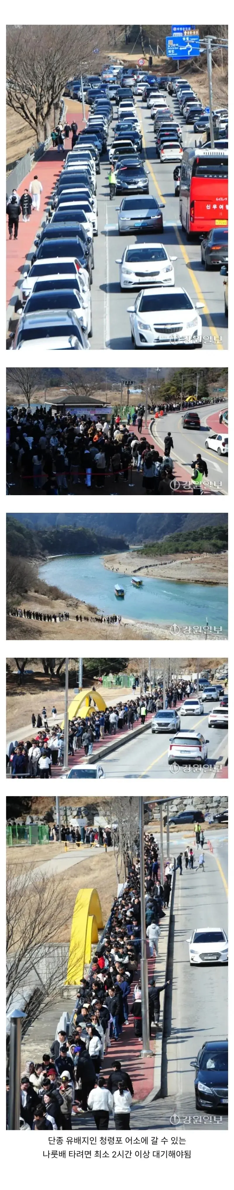 현재 사람이 미어터지고 있는 단종 유배지 상황.jpg | mbong.kr 엠봉