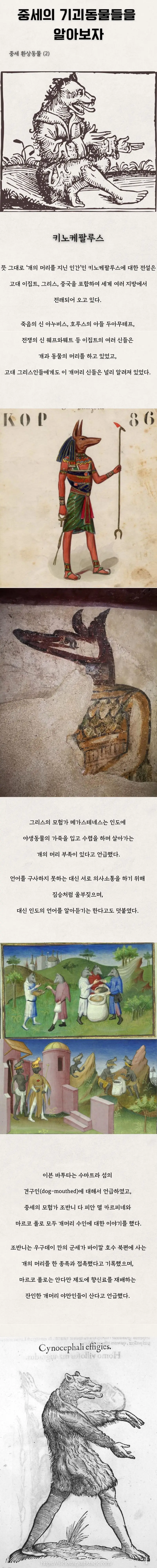 중세의 기괴동물들을 알아보자 | mbong.kr 엠봉