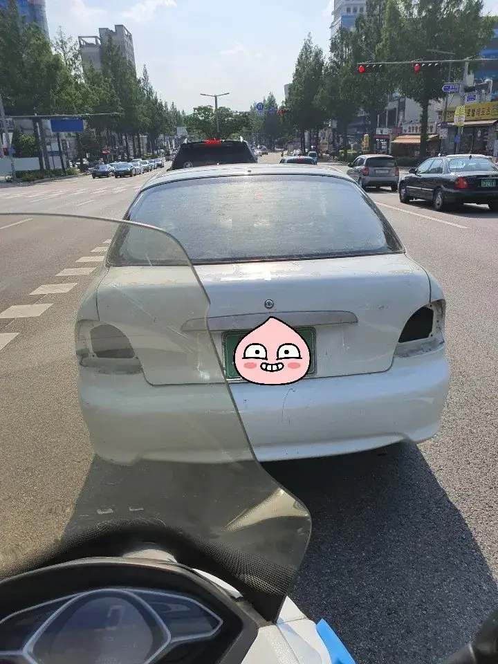 대낮에 출몰한 자유로귀신 근황 | mbong.kr 엠봉