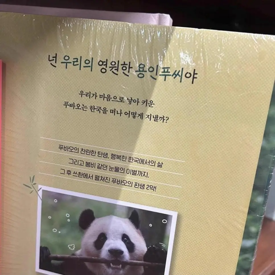 넌 영원한 용인푸씨야 | mbong.kr 엠봉