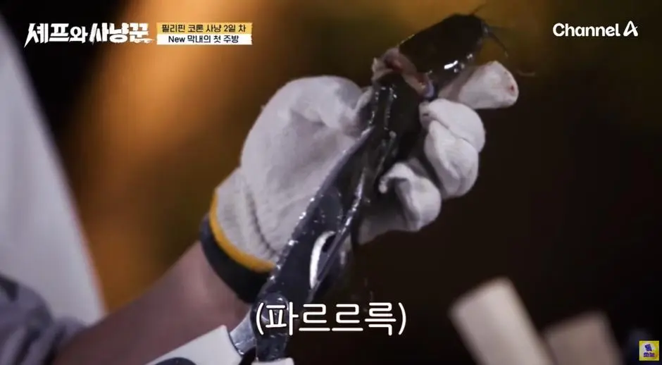 생선 손질하다가 기겁 했다는 빠니보틀…jpg | mbong.kr 엠봉