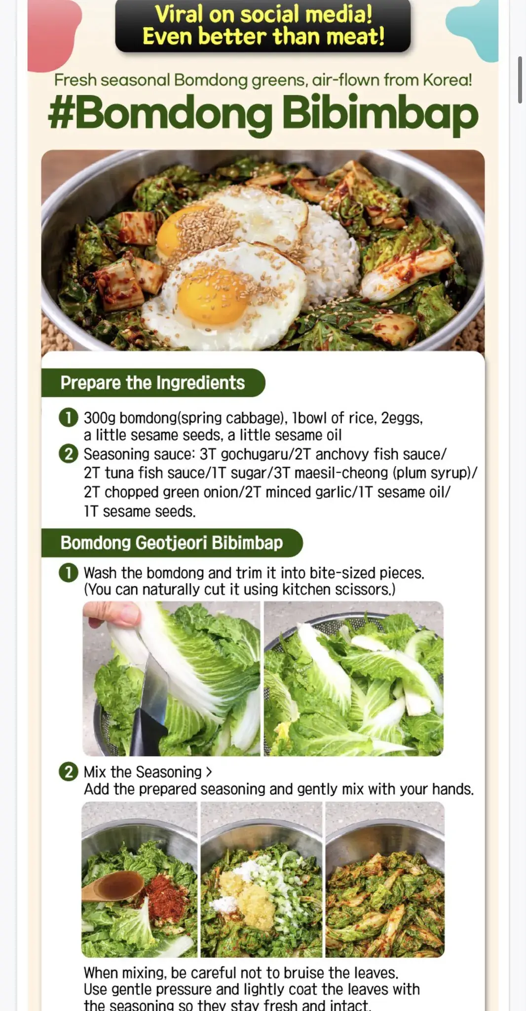 캐나다에서 유행 시작했다는 봄동 | mbong.kr 엠봉