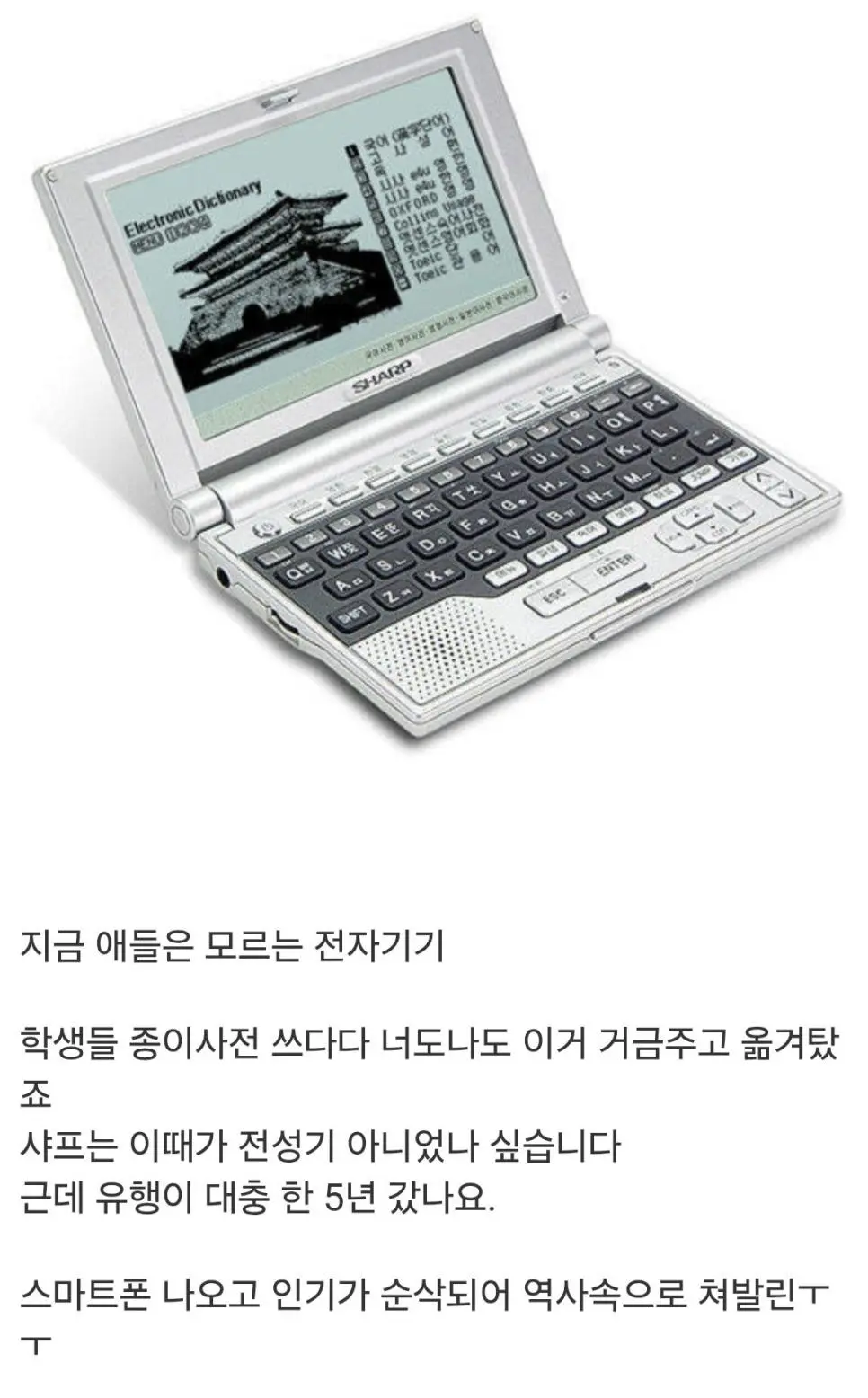 유행 기간은 짧았지만 강렬했다는 전자기기 | mbong.kr 엠봉