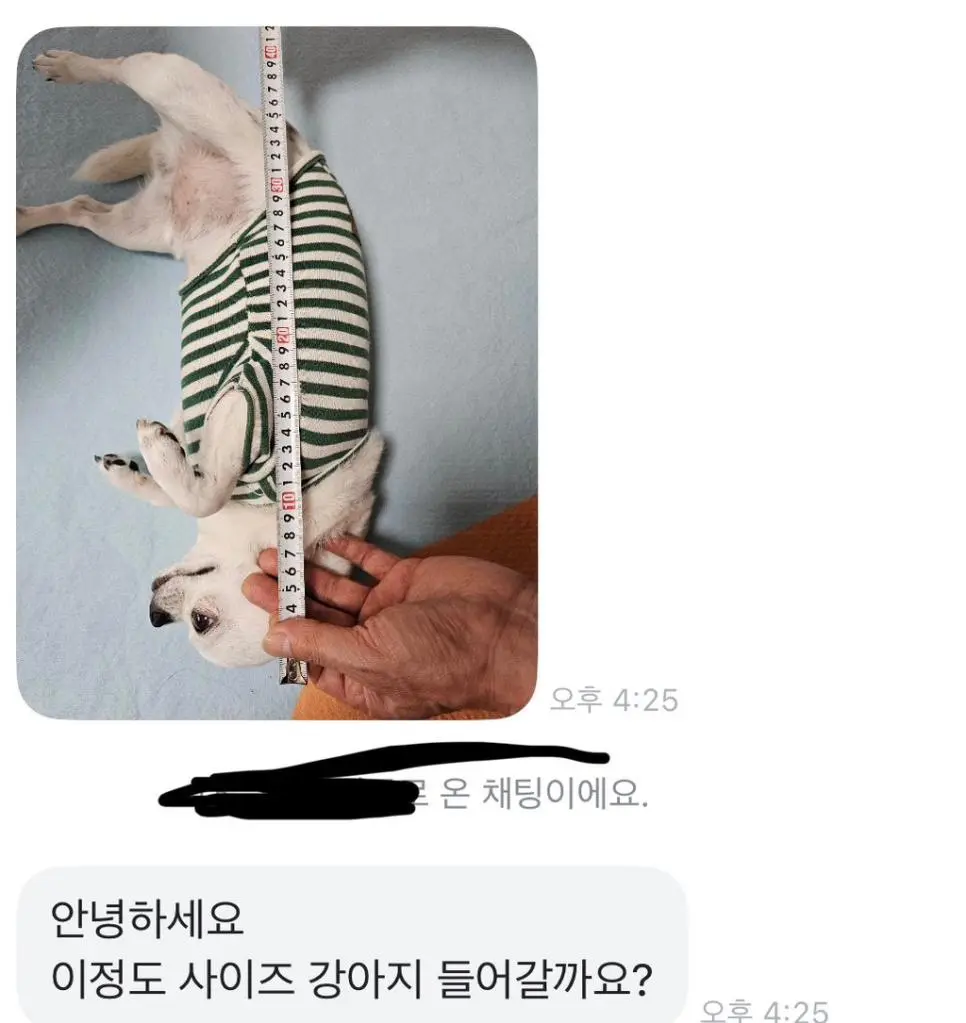 당근에 강아지 집 올려놨는데 온 문의.jpg | mbong.kr 엠봉